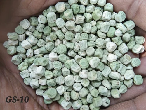 Peas Seeds IR-10